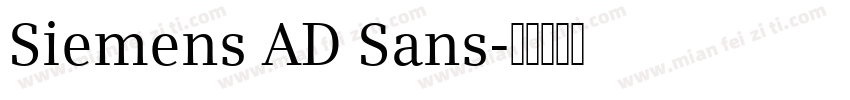 Siemens AD Sans字体转换